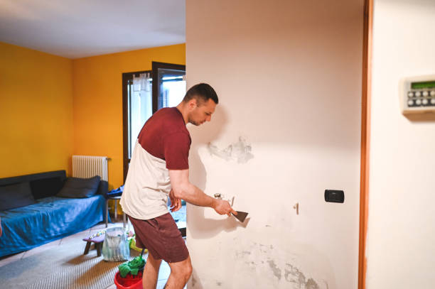Best Water Damage Restoration  in North Corbin, KY